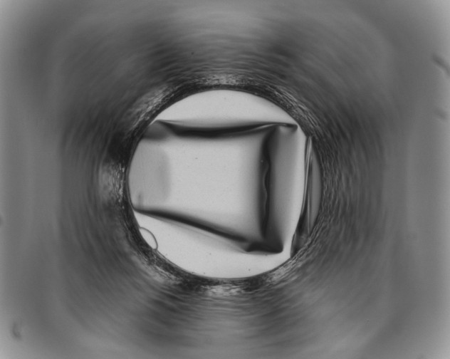 X0000096670168200803041228