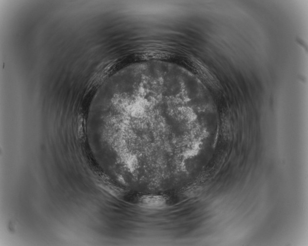 X0000096670169200803041228