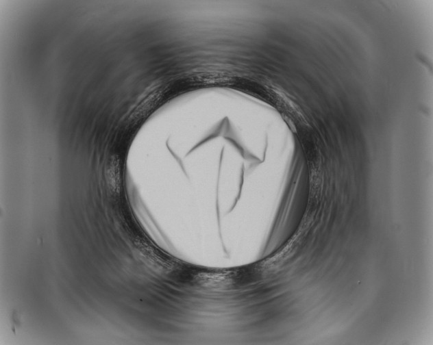 X0000096670170200803041228