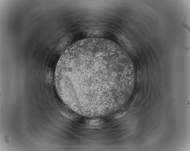 X0000096670173200803041228