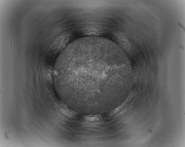 X0000096670175200803041228