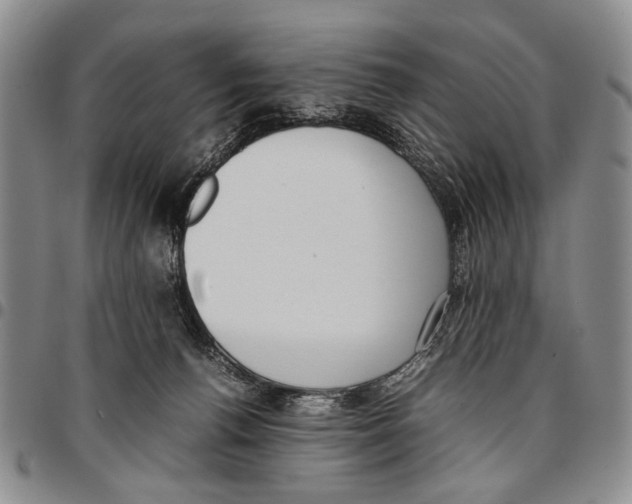 X0000096670176200803041228