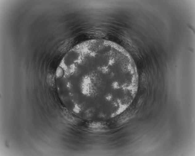 X0000096670177200803041228