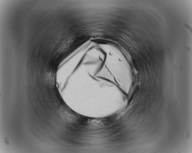 X0000096670180200803041228