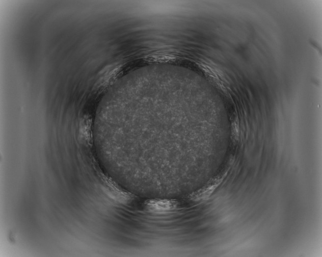 X0000096670181200803041228
