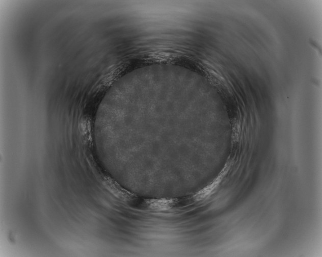 X0000096670182200803041228