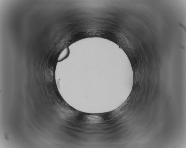 X0000096670183200803041228