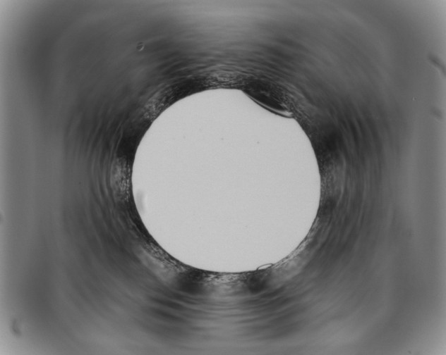 X0000096670186200803041228