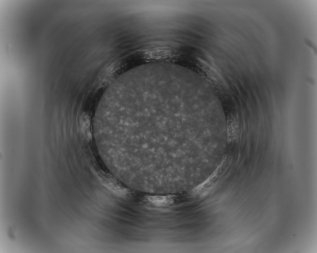 X0000096670187200803041228