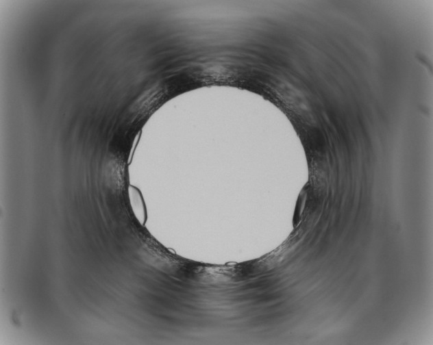 X0000096670188200803041228