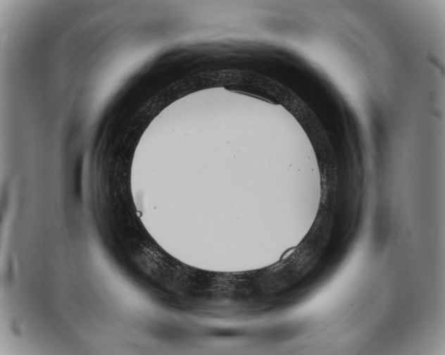 X0000096670190200803041228
