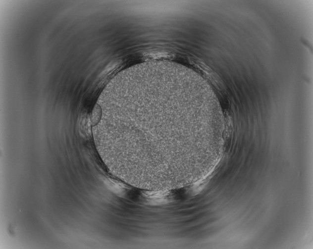 X0000096670191200803041228