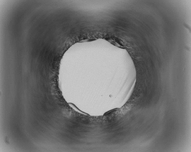 X0000096670192200803041228