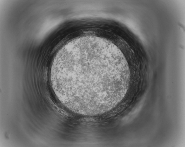 X0000096670194200803041227