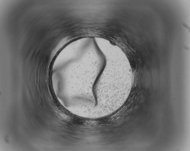 X0000096670195200803041227