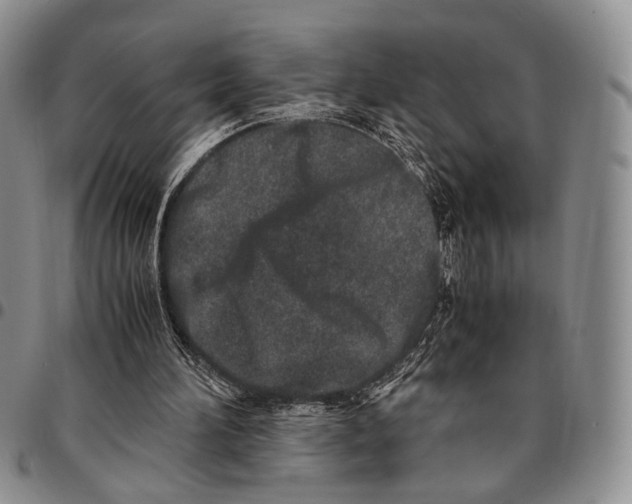 X0000096670196200803041227