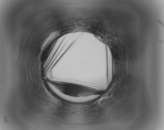 X0000096670197200803041227