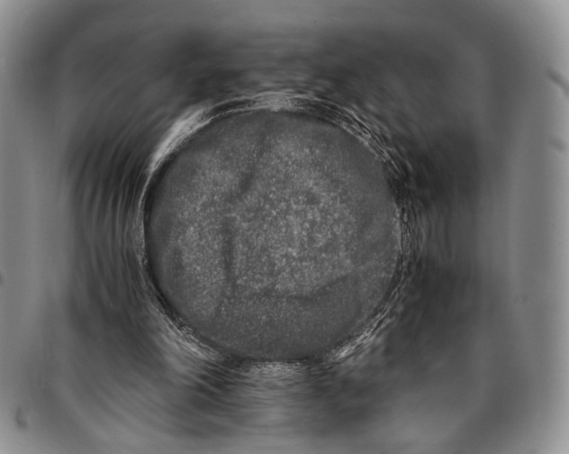 X0000096670198200803041227