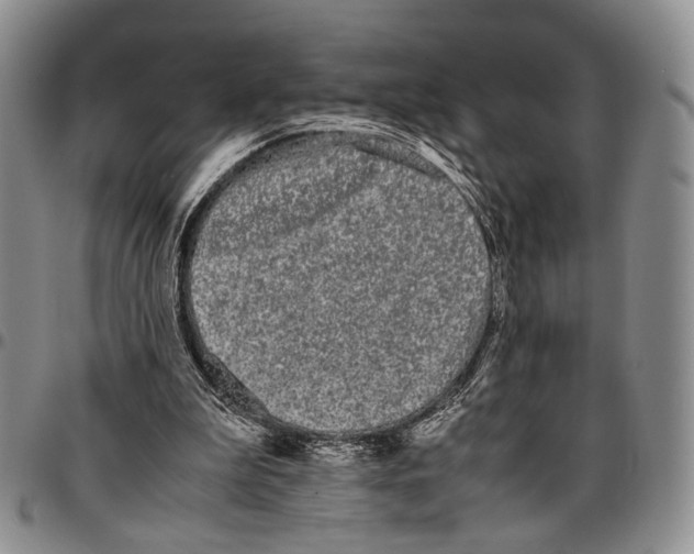 X0000096670199200803041227