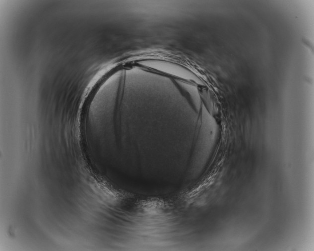 X0000096670200200803041227