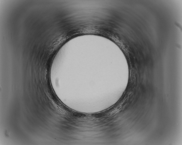 X0000096670201200803041227