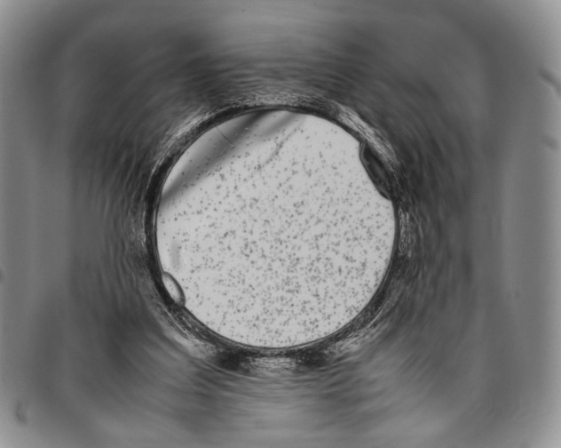 X0000096670203200803041227