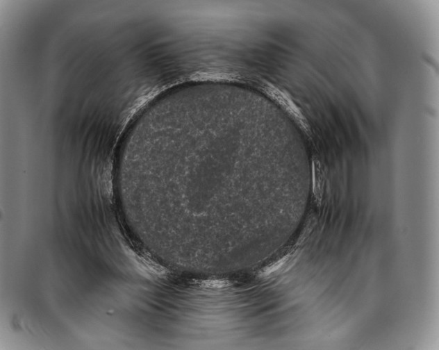 X0000096670204200803041227