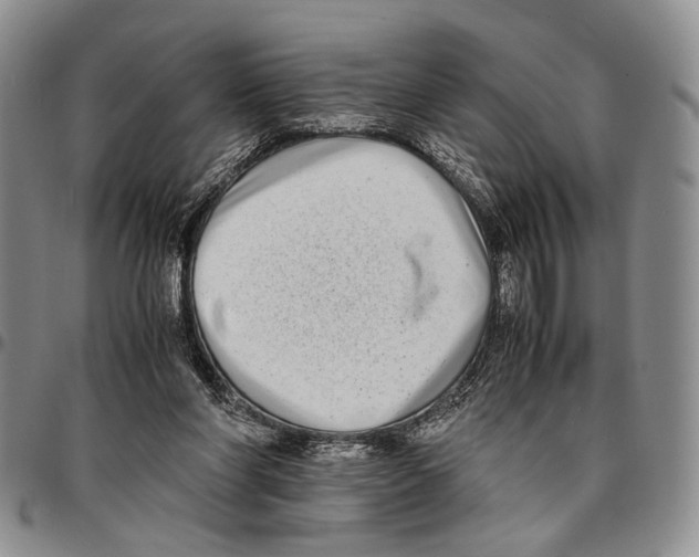 X0000096670206200803041227