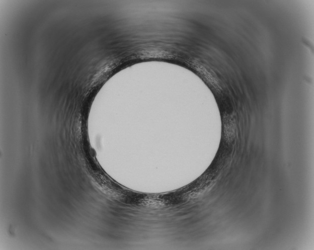 X0000096670207200803041227
