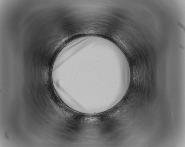 X0000096670208200803041227