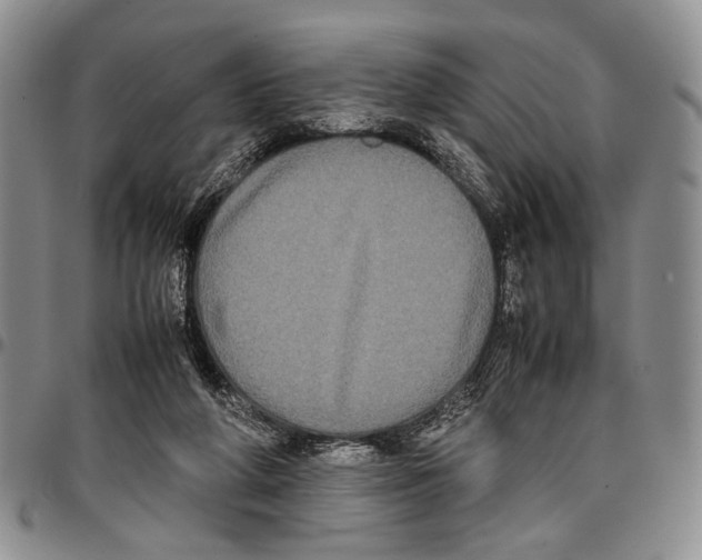 X0000096670210200803041227