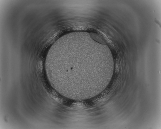 X0000096670211200803041227