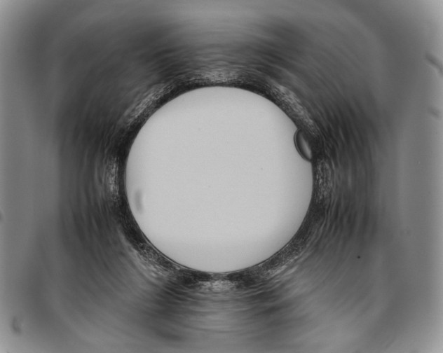 X0000096670212200803041227