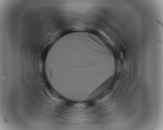 X0000096670213200803041227