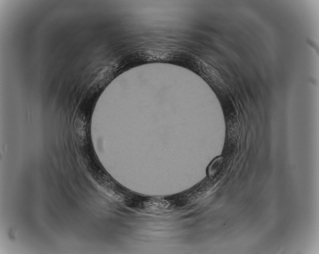 X0000096670215200803041227