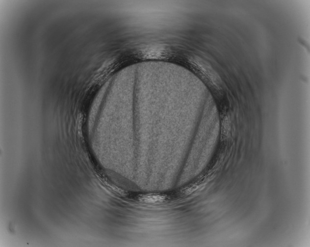 X0000096670217200803041227