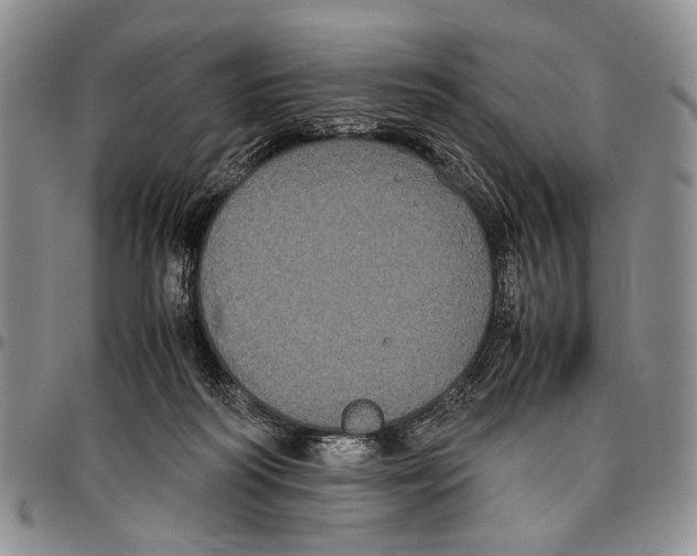 X0000096670218200803041227