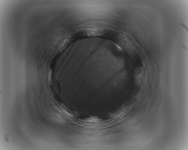 X0000096670219200803041227