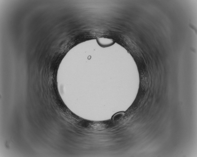 X0000096670221200803041227