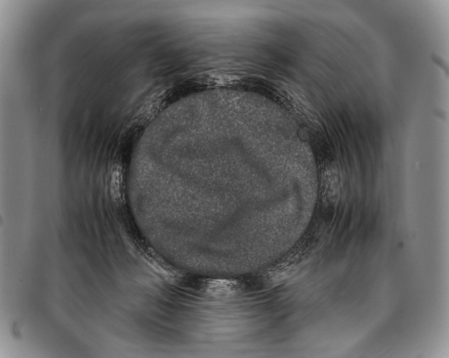X0000096670222200803041227