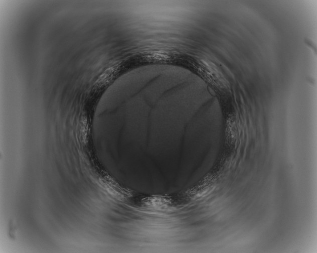 X0000096670223200803041227