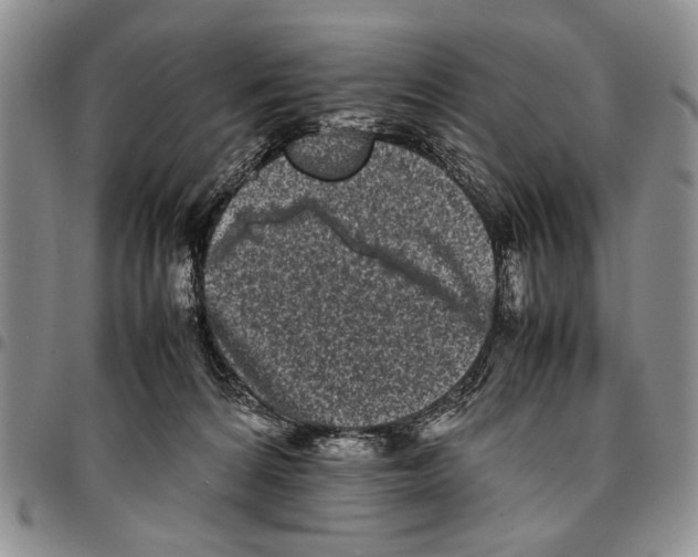 X0000096670224200803041227
