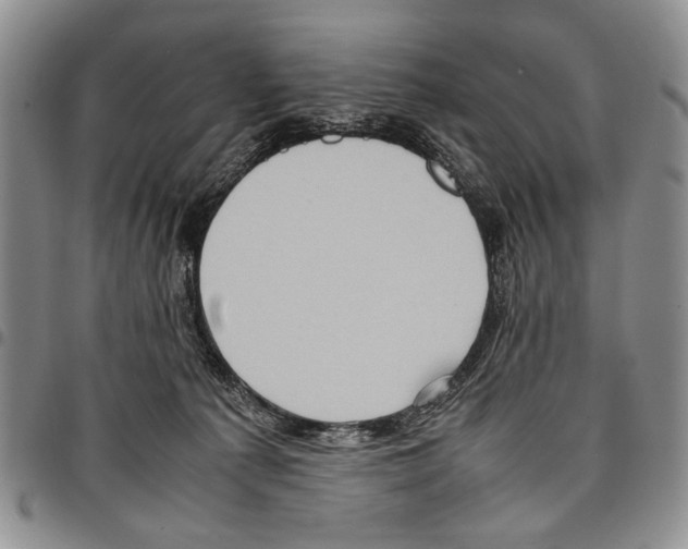 X0000096670225200803041227