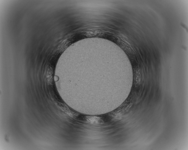 X0000096670226200803041227