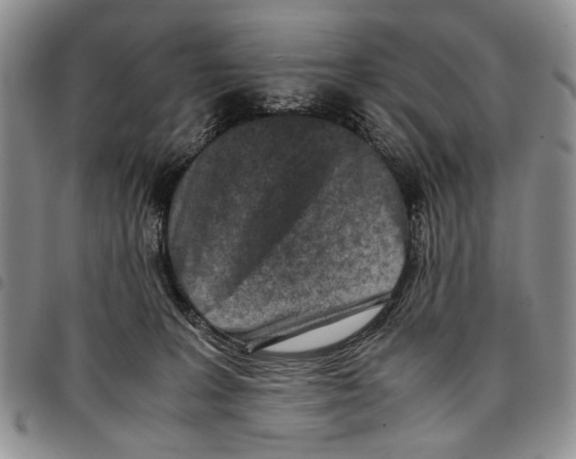 X0000096670227200803041227