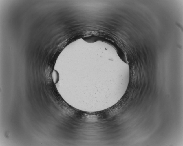 X0000096670228200803041227