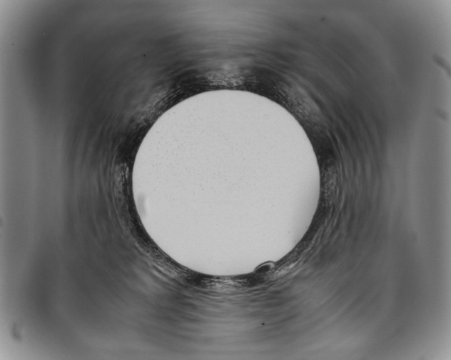 X0000096670229200803041227