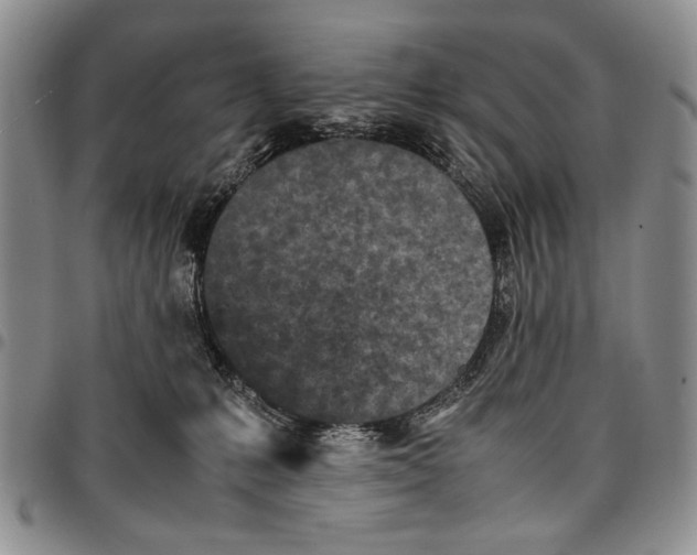 X0000096670231200803041227