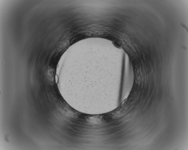 X0000096670232200803041227