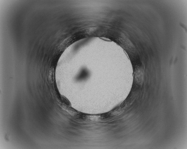 X0000096670233200803041227